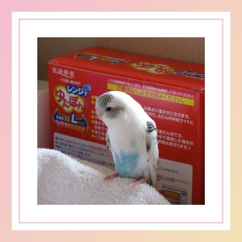 ハピさんダイアリー